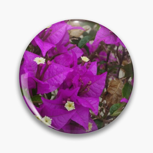Item preview, Bougainvillea designed and sold by The Rage Garden.