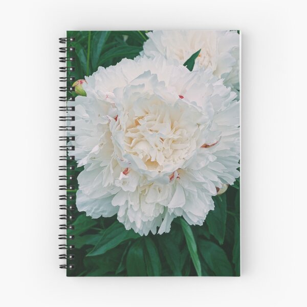 Item preview, full bloom white peony on a summer day.  designed and sold by ninjapineapple.