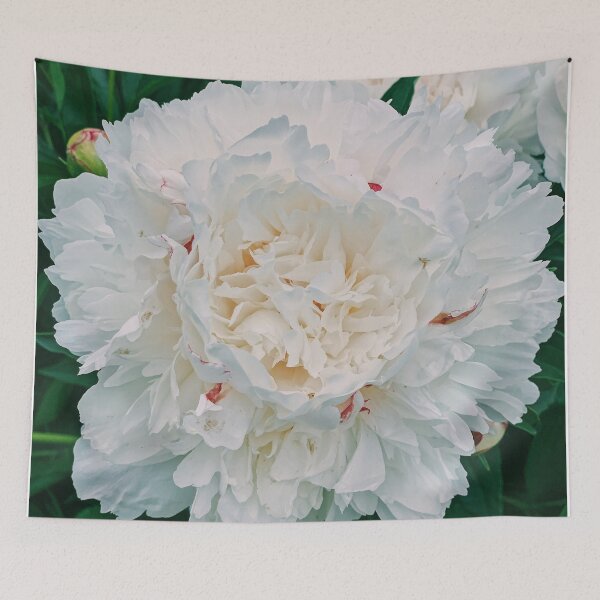 Item preview, full bloom white peony on a summer day.  designed and sold by ninjapineapple.