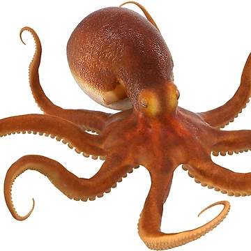 Artwork thumbnail, Octopus by Lustkill