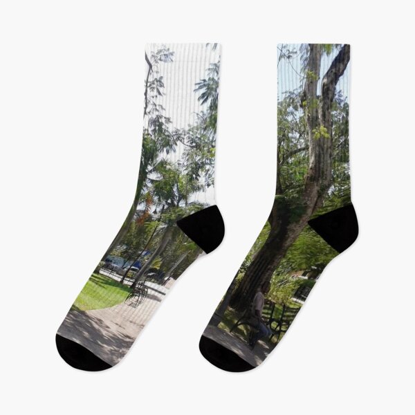 Item preview, Trees in a park designed and sold by gloriasd14.