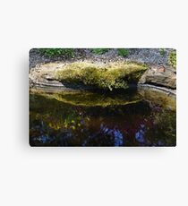 Spring Reflection Canvas Print