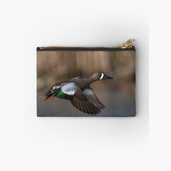 Item preview, Blue-winged Teal in flight designed and sold by James Cumming.