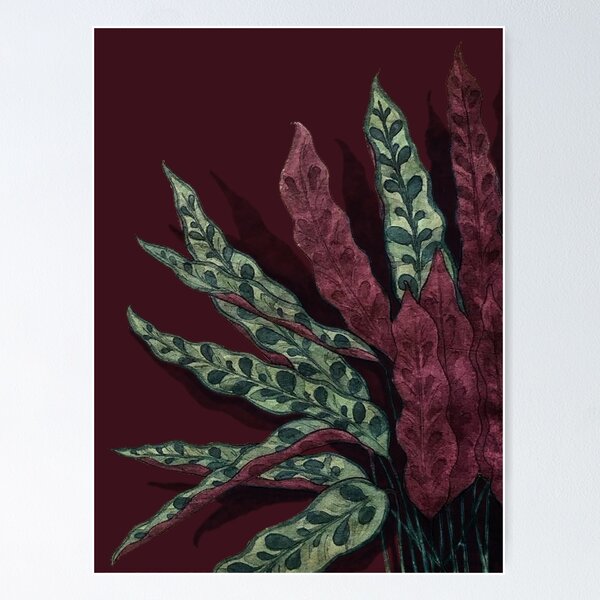 Textured hot Rattlesnake Plant Painting