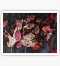 Collage Of Autumn Red Sticker