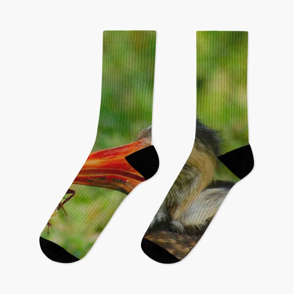 Item preview, THE "LUNCH BREAK" REDBILLED HORNBILL designed and sold by Magriet Meintjes.