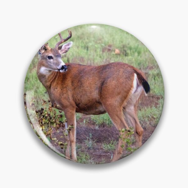 Item preview, trophy buck by camera... designed and sold by RichImage.