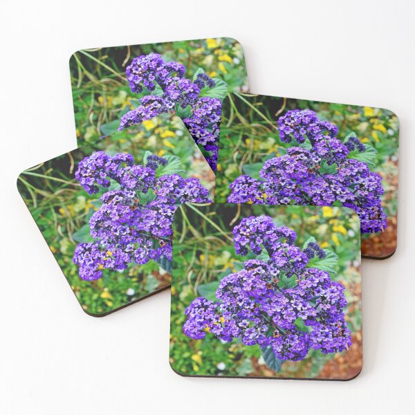 Item preview, Estes Park 2020 Study 16  designed and sold by Robert Meyers-Lussier.