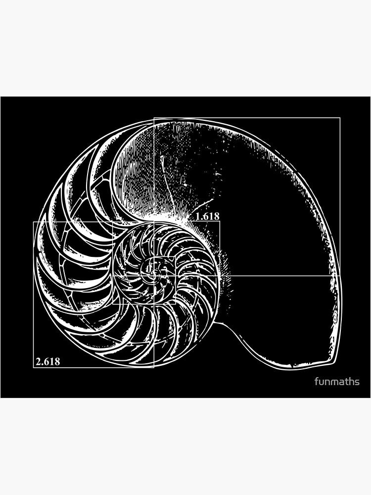 Fibonacci On A Nautilus Shell Postcard By Funmaths Redbubble