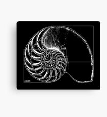 Fibonacci on a nautilus shell Canvas Print