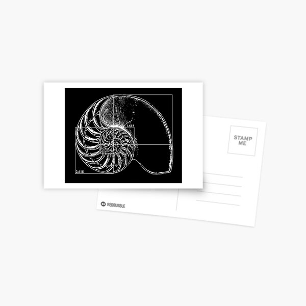 Item preview, Fibonacci on a nautilus shell designed and sold by funmaths.