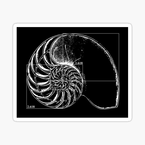 Fibonacci on a nautilus shell Sticker