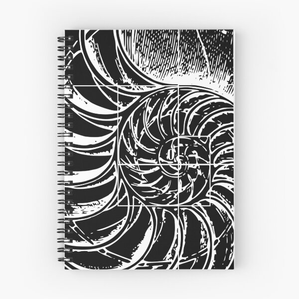 Item preview, Fibonacci on a nautilus shell designed and sold by funmaths.