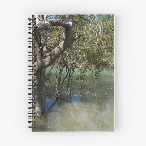 Item preview, Mangroves..........! designed and sold by Roy  Massicks.