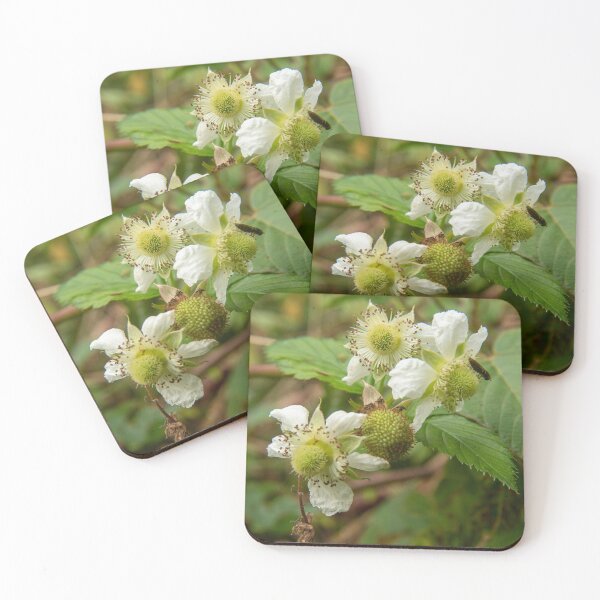 Item preview, Raspberry flowers designed and sold by David SINIGAGLIA.
