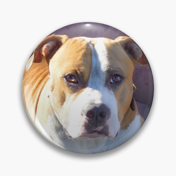 Item preview, Pitbull on a couch designed and sold by ritmoboxers.
