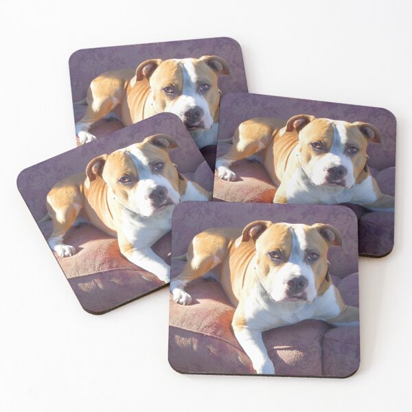 Item preview, Pitbull on a couch designed and sold by ritmoboxers.