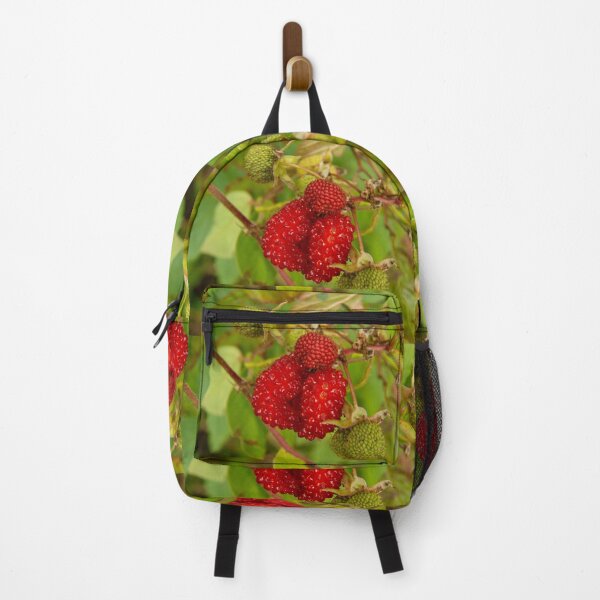 Item preview, Raspberry pei designed and sold by David SINIGAGLIA.