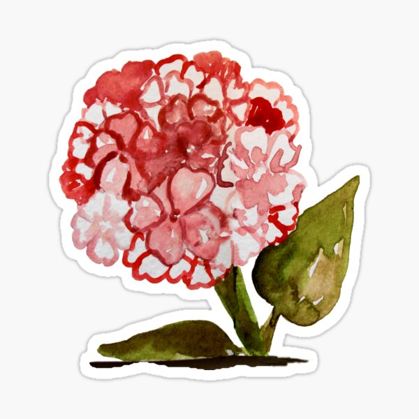 Happy Pink Hydrangea Flowers - Watercolor Sticker