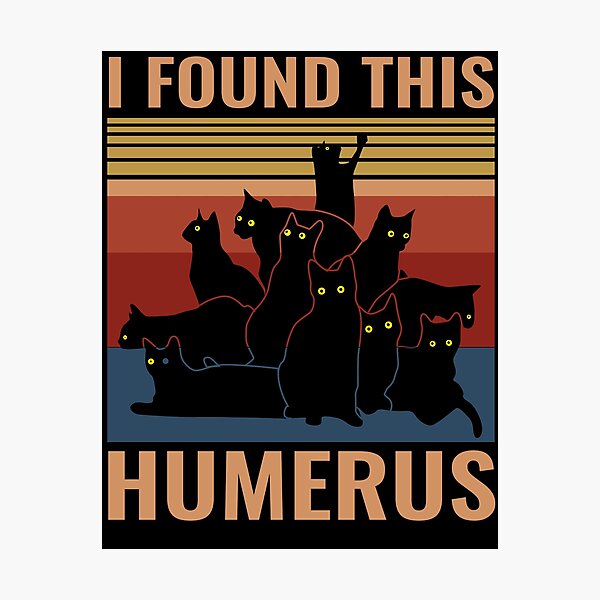 Item preview, I FOUND THIS HUMERUS CAT HUMOROUS designed and sold by hasanmasud.