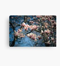 *** Canvas Print