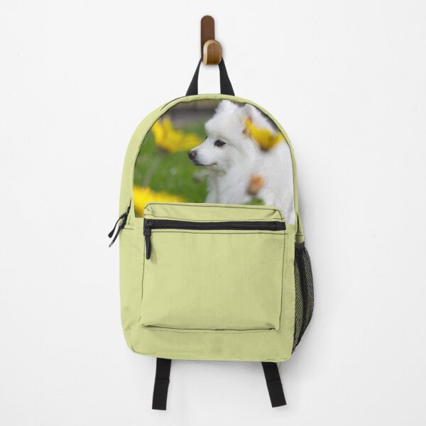 Item preview, Spring Spitz designed and sold by KarenWoodArt.
