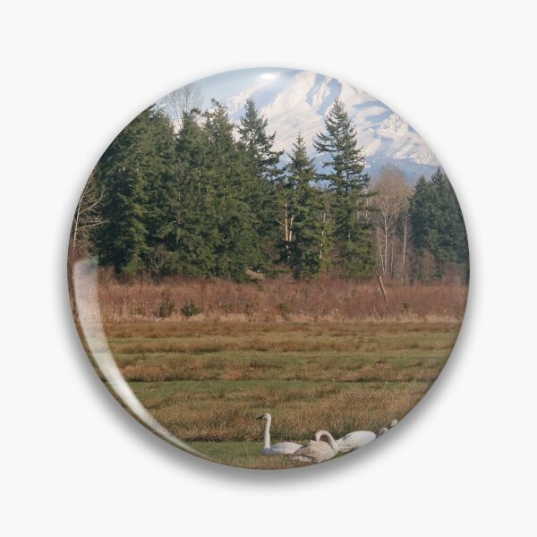 Item preview, Mt Baker and Swans designed and sold by RichImage.