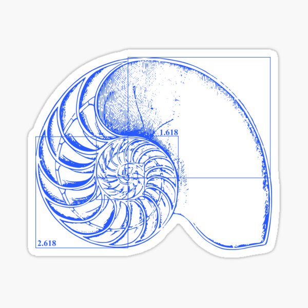 Fibonacci On A Nautilus Shell Orange Sticker By Funmaths Redbubble