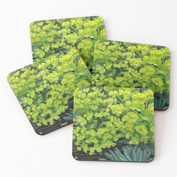 Item preview, Green Plant designed and sold by KaitlynStoll.