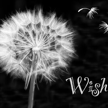 Dandelion Make A Wish Black And White Abstract Jigsaw Puzzle