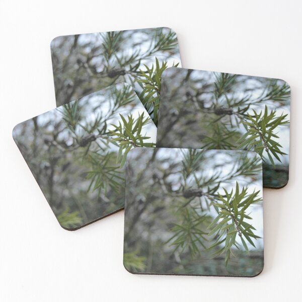 Item preview, Spruce Closeup designed and sold by KaitlynStoll.
