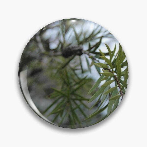 Item preview, Spruce Closeup designed and sold by KaitlynStoll.