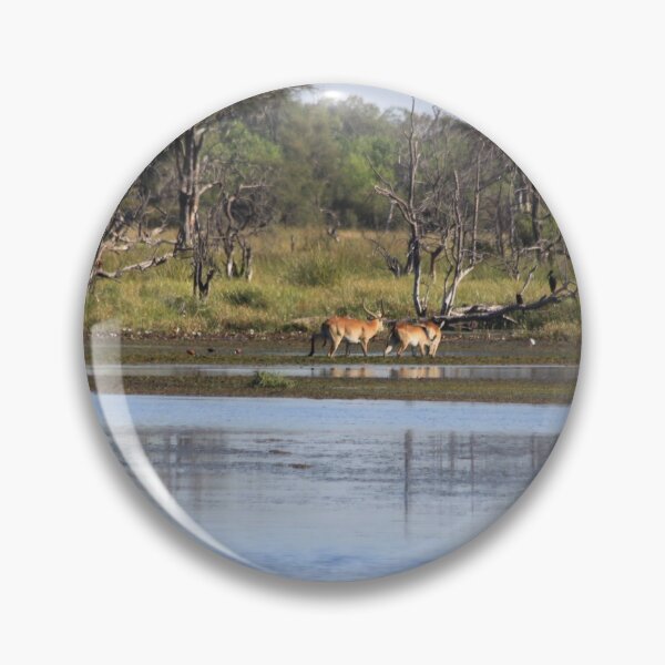 Item preview, Botswana landscape designed and sold by EstelleRossetti.