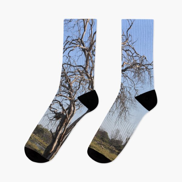 Item preview, Botswana landscape designed and sold by EstelleRossetti.