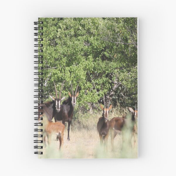 Item preview, Sable antelope Okavango Delta Botswana designed and sold by EstelleRossetti.