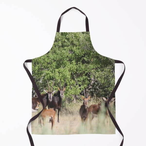 Item preview, Sable antelope Okavango Delta Botswana designed and sold by EstelleRossetti.