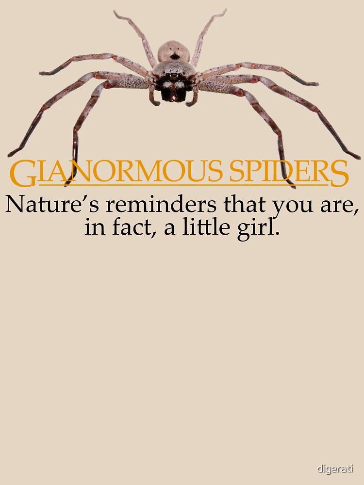 Spiders are your friends!