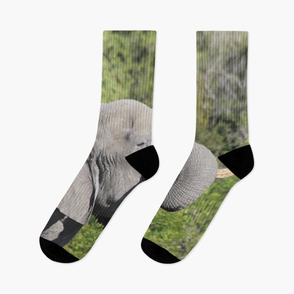Item preview, Elephant who comes to drink designed and sold by EstelleRossetti.