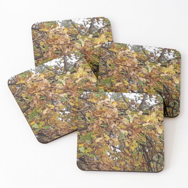 Item preview, Last leaves of Autumn  designed and sold by Naomi80.