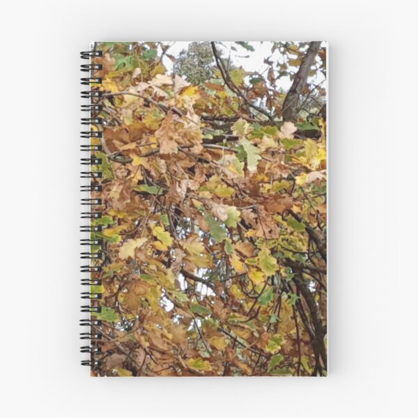 Item preview, Last leaves of Autumn  designed and sold by Naomi80.