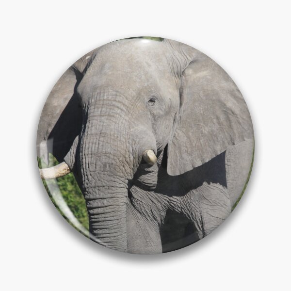 Item preview, Elephant who comes to drink designed and sold by EstelleRossetti.