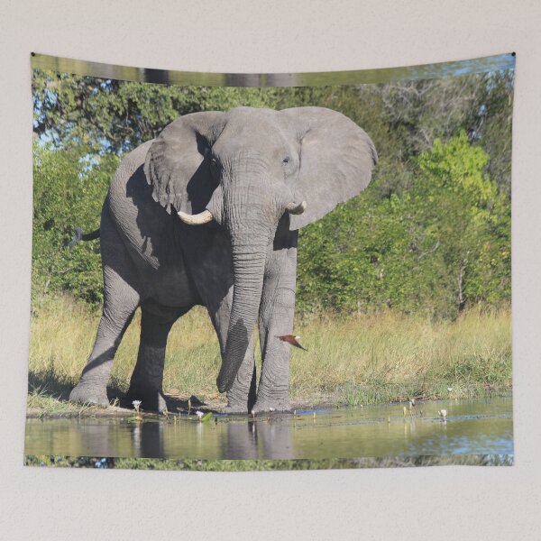 Item preview, Elephant who comes to drink designed and sold by EstelleRossetti.