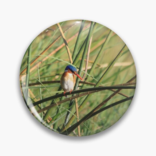 Item preview, Bismarck kingfisher in the reeds designed and sold by EstelleRossetti.