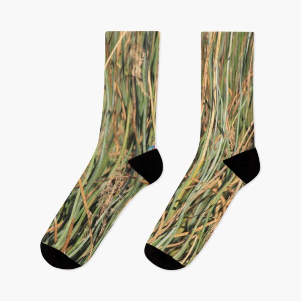 Item preview, Bismarck kingfisher in the reeds designed and sold by EstelleRossetti.