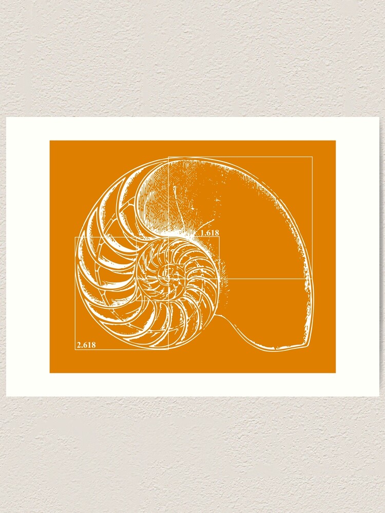 Fibonacci On A Nautilus Shell Orange Art Print By Funmaths Redbubble
