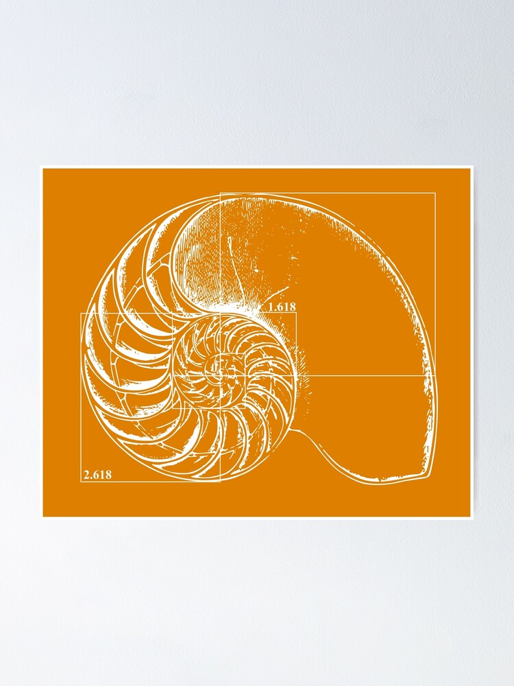 Fibonacci On A Nautilus Shell Orange Poster By Funmaths Redbubble