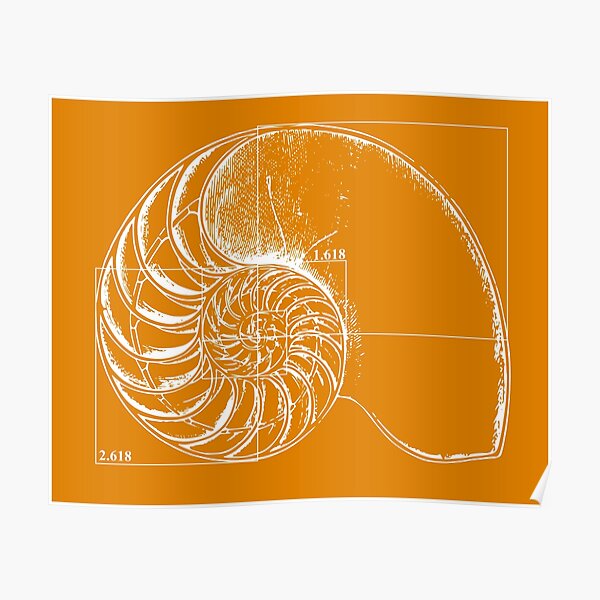 Fibonacci on a nautilus shell (orange) Poster