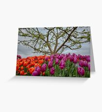 2013 Skagit Valley Tulip Festival Greeting Card