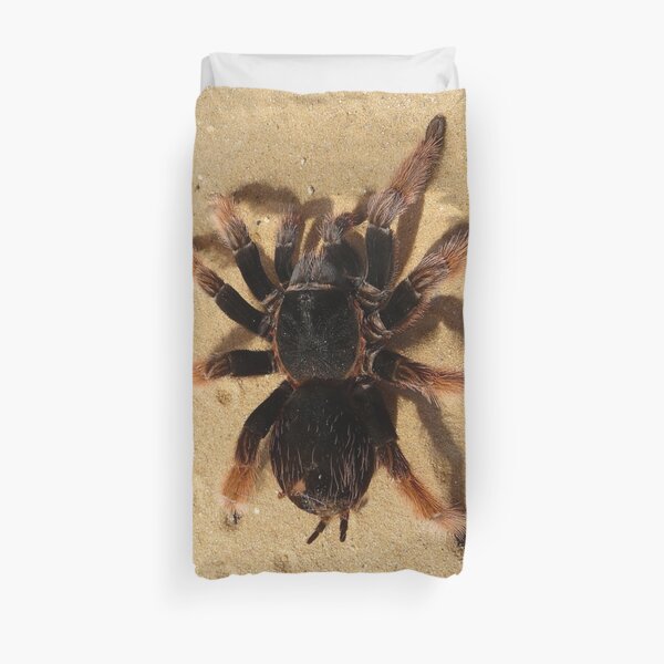 Brown Tarantula Spider Duvet Cover