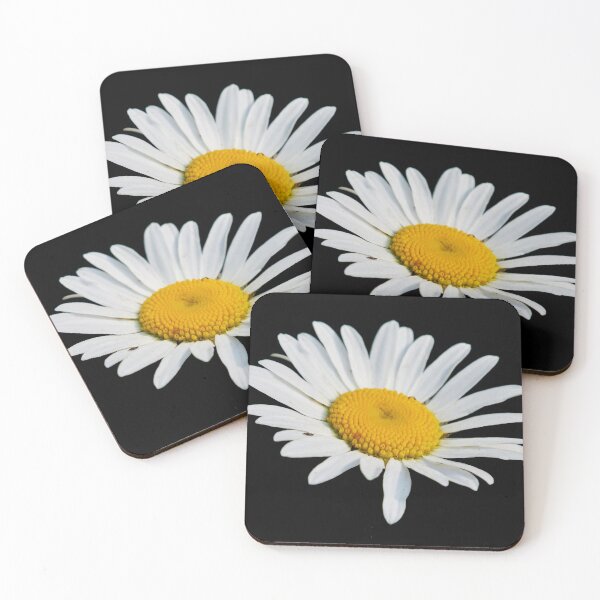 Item preview, The Ox-eye daisy transparent designed and sold by Jouko Lehto Photography.